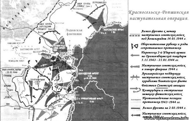 Красносельско-Ропшинская операция 