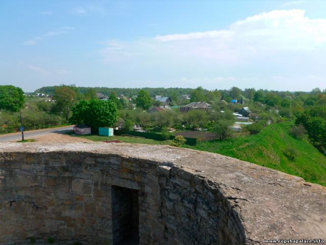 Вид на село Копорье