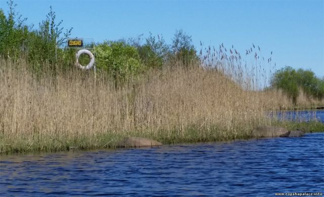 Деревня Дубно в Ленинградской области